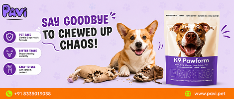 Say Goodbye To Chewed Up Chaos