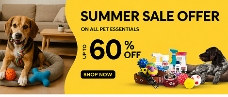 Summer Sale Offer
