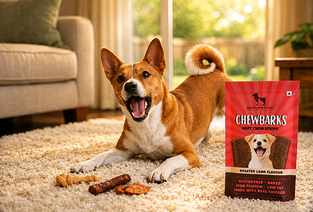 Dog Chew Treat