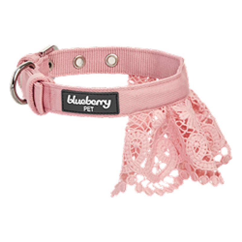 Blueberry Xplorers Collar Pink