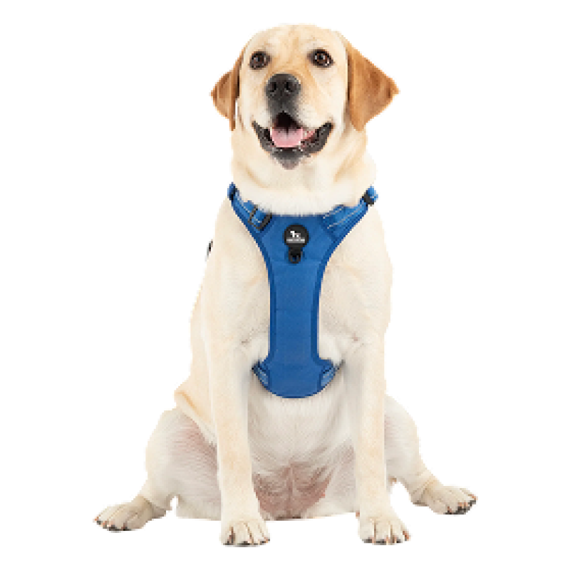 Pedigree Adult Dog Food