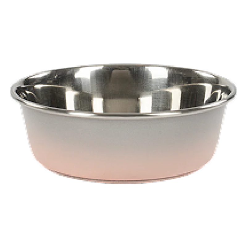 Steel Dog Bowl