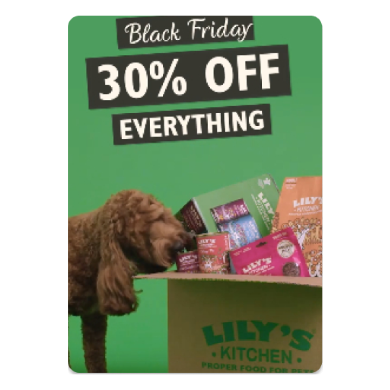 High-Protein Puppy Kibble
