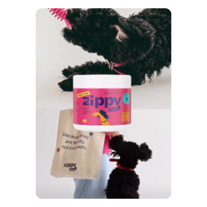 High-Protein Puppy Kibble
